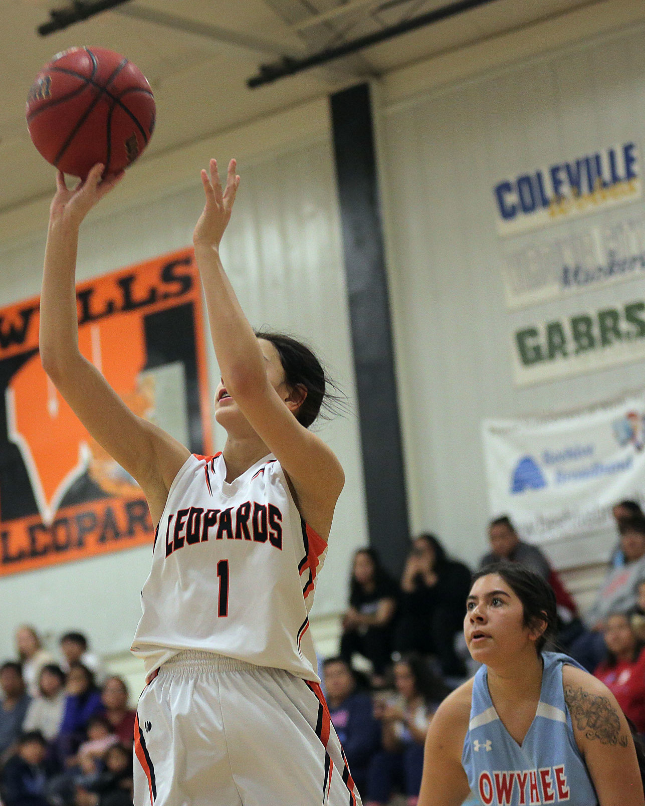 Owyhee at Wells Girls Basketball (12).jpg